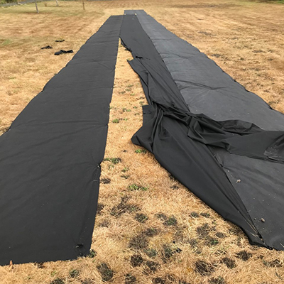 Tarp pulled up, eaten and ripped by Coyote.